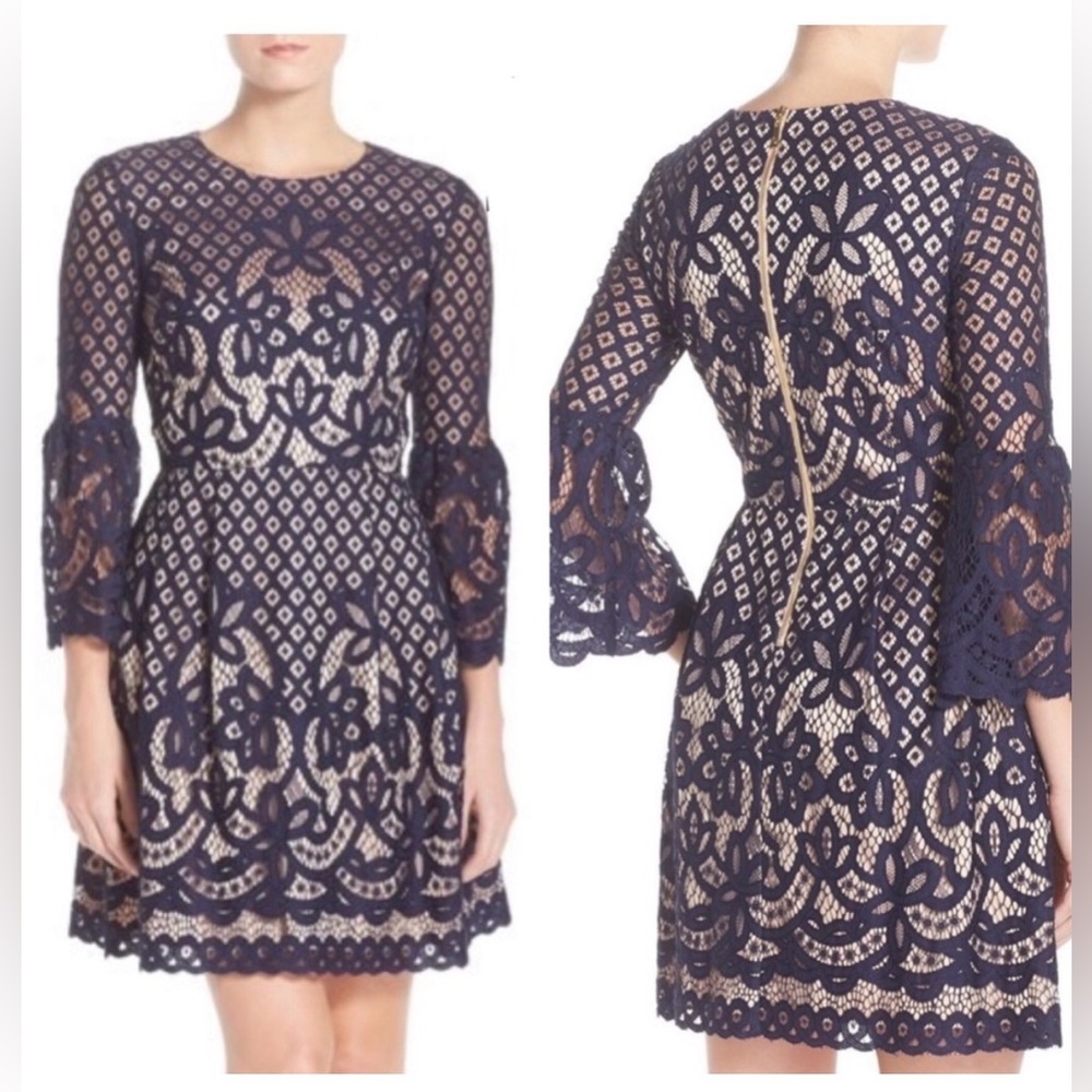 Eliza J Navy & Nude Lace Fit-and-Flare Dress Size 0 Petite